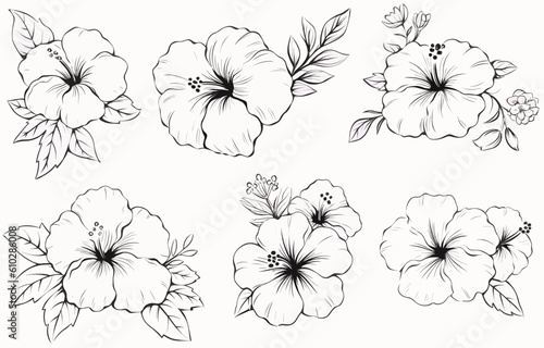 Botanical drawing. Minimal plant logo, meadow greenery, leaf and blooming flower abstract sketch element collection, linear rustic branch. Vector hand drawn wedding invitation bouquet decoration set