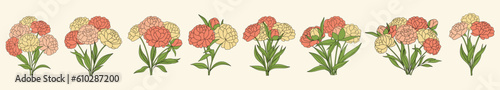 Set of peonies and flower bouquets. Perfect for wedding invitations and organic cosmetics. Vector.