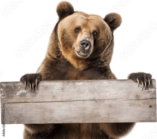 brown bear holding a blank sign, no background/transparent background