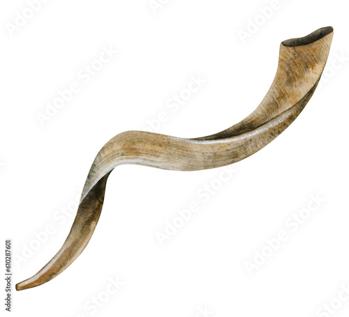 Photos Shofar horn for Rosh Hashanah and Yom Kippur watercolor illustration isolated on white background