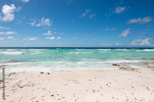 Tropical beach  Assumption Island  Seychelles.