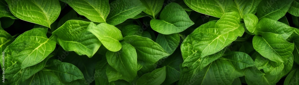 Nature leaves green texture with dark shadows Generative AI Nature leaves green texture with dark shadows Generative AI