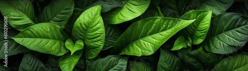 Nature leaves green texture with dark shadows Generative AI