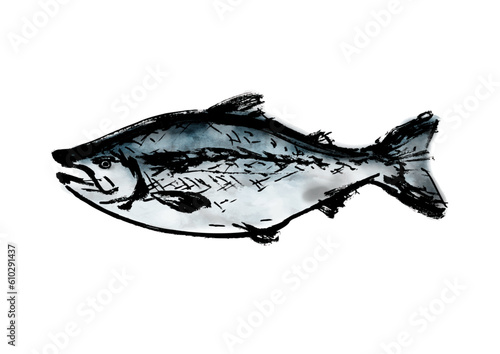 鮭の手描き和風イラスト和風素材