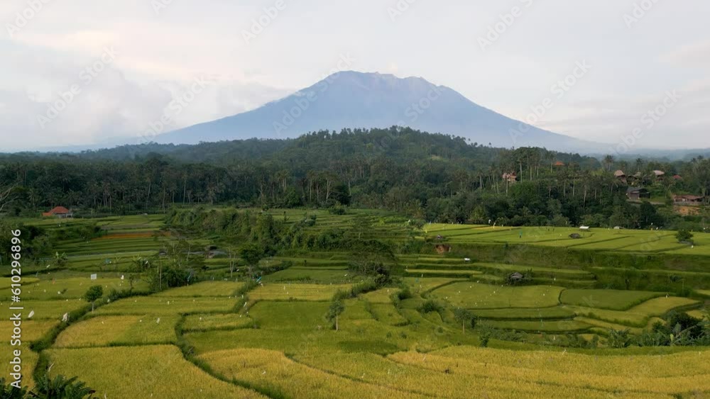 Beautiful landscape of rice fields with a volcano in the background. Bali Island, Indonesia Beautiful landscape of rice fields with a volcano in the background. Bali Island, Indonesia
