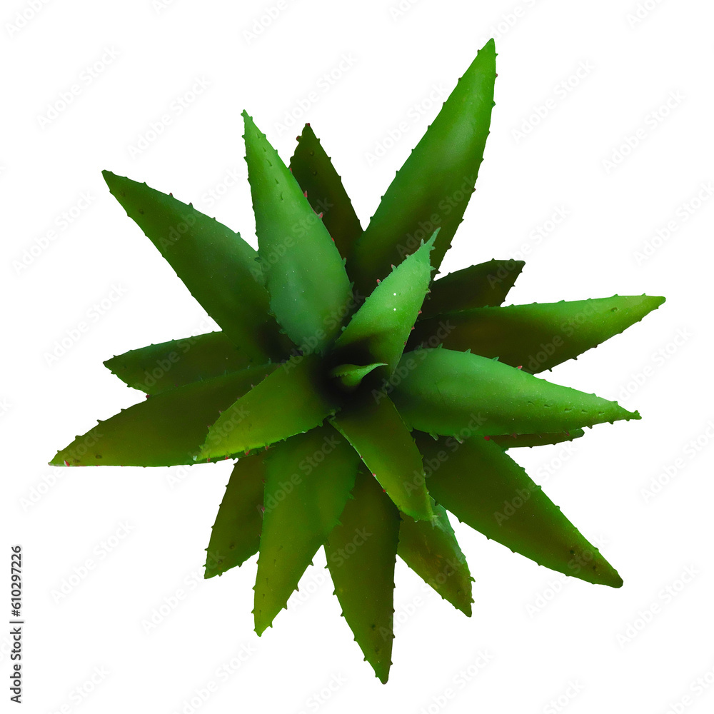 Houseplant in pot isolated on white background. Artificial aloe stylish black pot Houseplant in pot isolated on white background. Artificial aloe stylish black pot