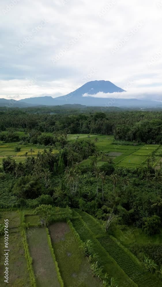 Beautiful landscape of rice fields with a volcano in the background. Bali Island, Indonesia Beautiful landscape of rice fields with a volcano in the background. Bali Island, Indonesia