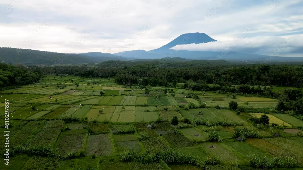 Beautiful landscape of rice fields with a volcano in the background. Bali Island, Indonesia Beautiful landscape of rice fields with a volcano in the background. Bali Island, Indonesia