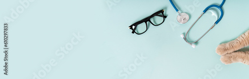 Cat paws, eyeglasses and stethoscope isolated on blue background web line. Cat on reception at veterinary doctor in vet clinic. Pet health care and animals concept. Banner. Copy space