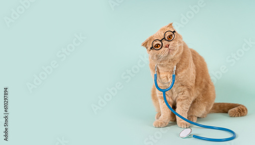 Konstfotografi Veterinary clinic, medicines for pets banner concept