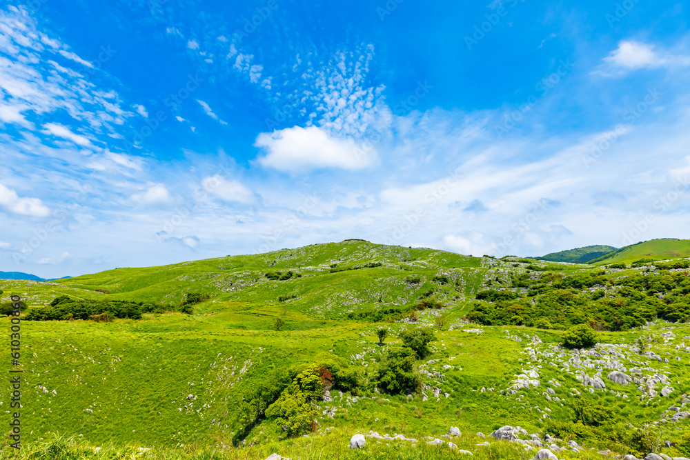 Obraz premium 青空と新緑とカルスト大地