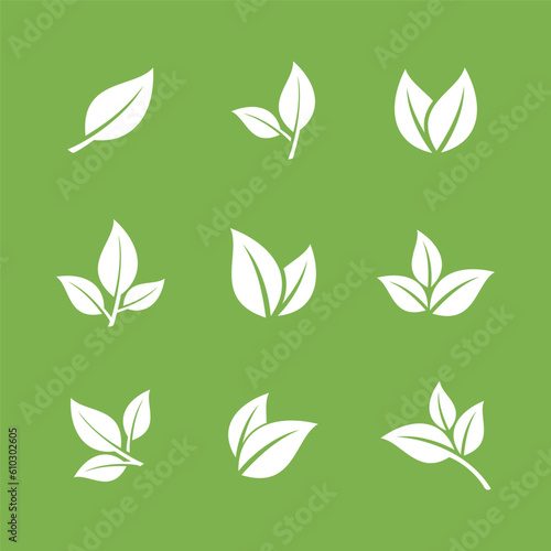 Green Leaf Vector  Eco Leaves Spa Logo Template