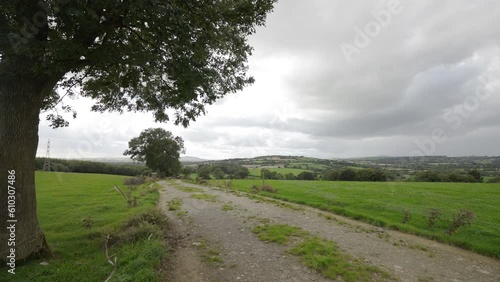 Wallpaper Mural Ireland country road in rural farm with wind and green grass Torontodigital.ca