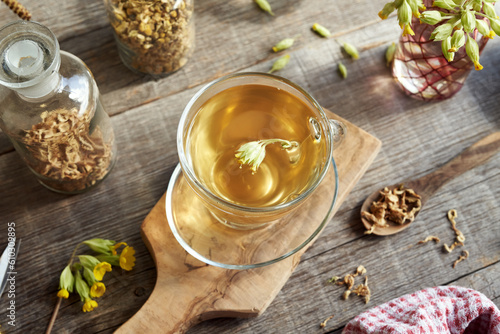 Herbal tea with cowslip or primrose medicinal plant