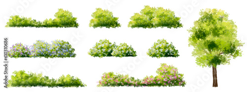 Vector watercolor blooming flower tree side view isolated for landscape and architecture drawing, elements for environment and garden,botanical elements for section in spring 