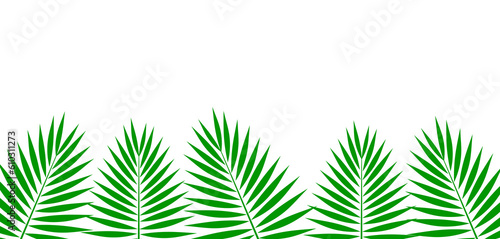Green palm leaves border on white background.