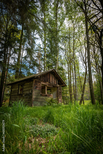 Old garden cabin with green forest on the background in Pyrenees mountains, France © Daniel