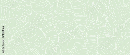 Abstract botanical foliage vector background. Tropical leaves, monstera, leaf branch, freehand drawn in linear style. Botanical jungle illustrated with banner, prints, decoration, fabric.