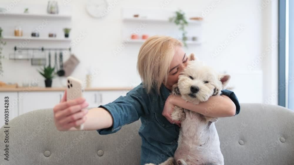 Selective focus of affectionate woman with cell phone in hand cuddling to white terrier while getting self-portrait. Smiling female adult seizing positive moment of time spent with dog indoors. Selective focus of affectionate woman with cell phone in hand cuddling to white terrier while getting self-portrait. Smiling female adult seizing positive moment of time spent with dog indoors.
