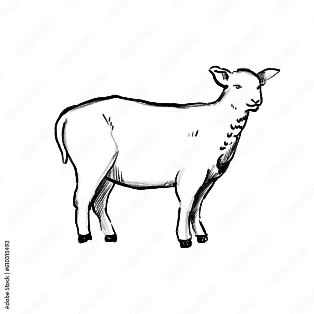 Menu Animals (hand drawn) Menu Animals (hand drawn)