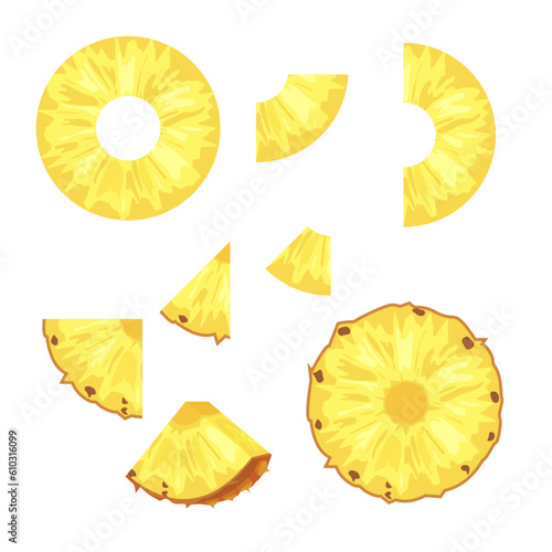 vector cutaway pineapple in different parts. a set of pineapple pieces of various sizes
