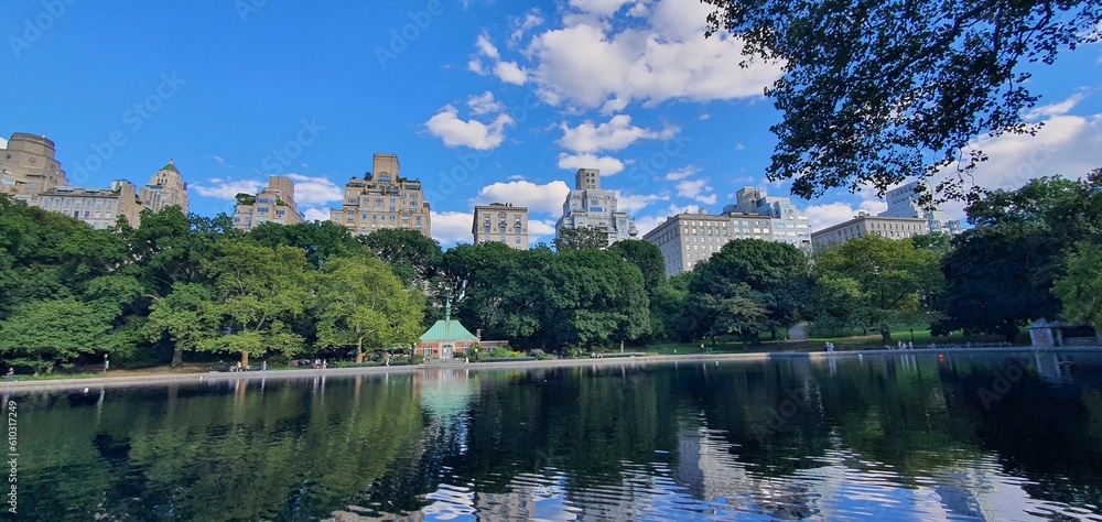 Fototapeta premium Park