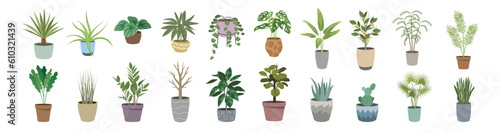 Houseplant set. Indoor plant vector. Flowers.