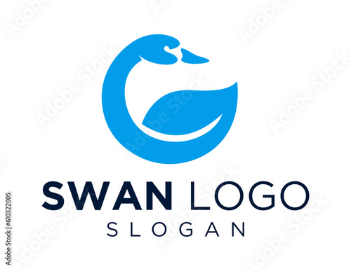 Logo about Swan on a white background. created using the CorelDraw application.