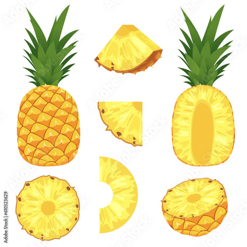 vector cutaway pineapple in different parts. a set of pineapple pieces of various sizes
