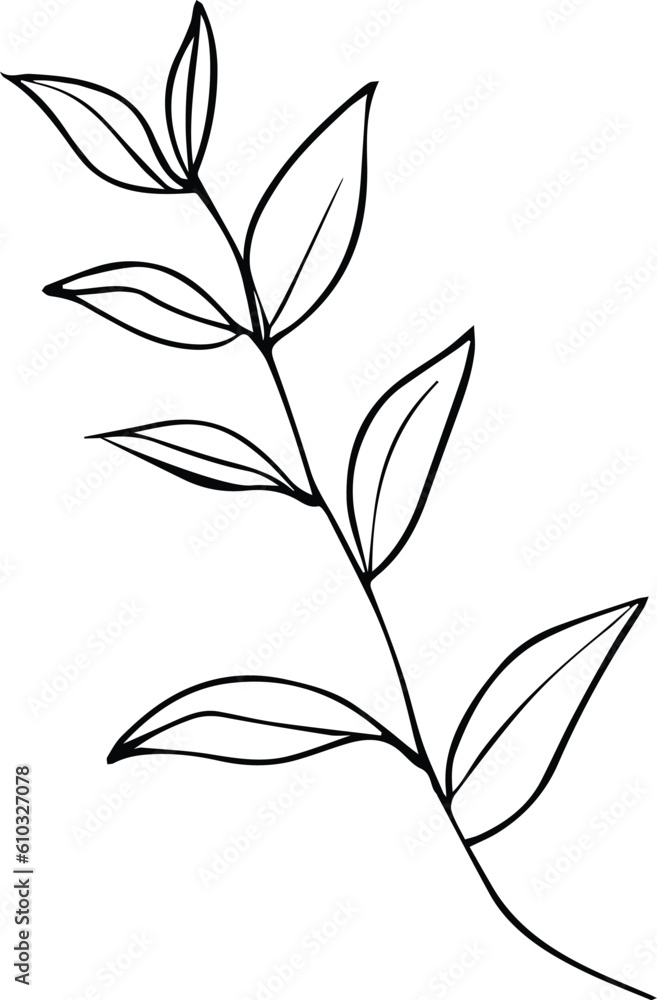 Fototapeta premium scientific botanical illustration, pencil botanical drawings, botanical leaf vector, botanical leaf line art, leaf line art, leaf drawings, sketch leaf drawing, art leaf design