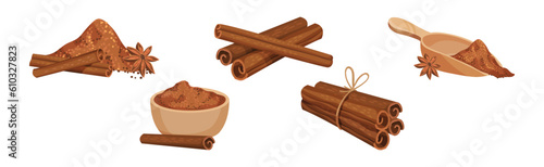 Cinnamon Spice Sticks with Powder and Star Anise Vector Set