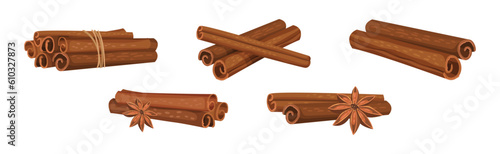 Cinnamon Spice Sticks with Star Anise Vector Set
