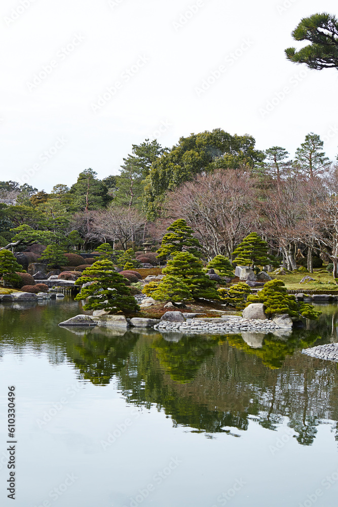 japanese garden with pond and trees