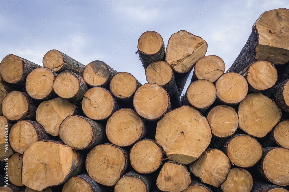 Wood logs in Jasenna village in Zlin area of Czech Republic Wood logs in Jasenna village in Zlin area of Czech Republic