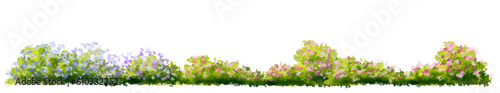 Vector of flower grass or blooming shrub isolated on white background,tree elevation for landscape concept,environment panorama scene,eco design,meadow for spring