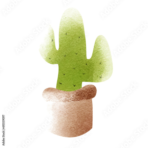 cactus in a pot