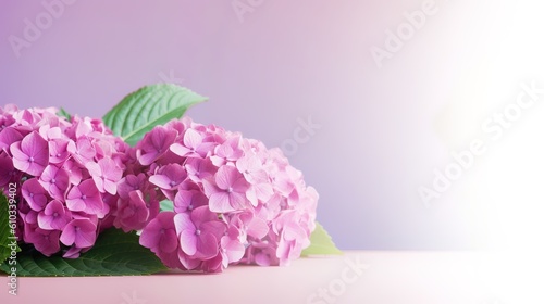 Hydrangea bouquet isolated on background. Pink flowers hortensia, blooming in spring and summer. Copy space. Generative Ai.