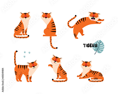 Funny Striped Tiger with Orange Fur Vector Illustration Set