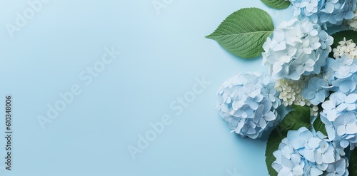 Hydrangea bouquet isolated on background. Flowers hortensia in white and blue, blooming in spring and summer. Copy space blue, mintgreen. Generative Ai photo