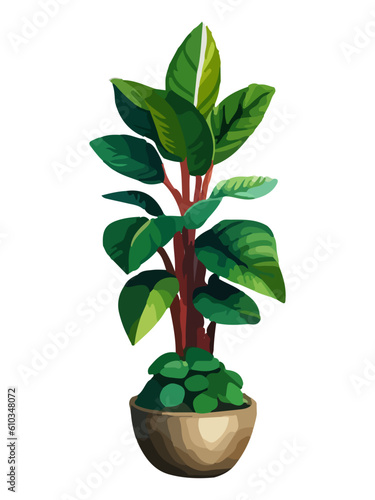 Realistic house plat with monstera sansevieria banana palm ficus and rhopalostylis in pot on transparent background.