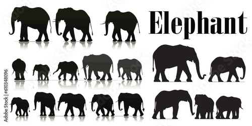 A set of silhouette Elephant vector illustration collection