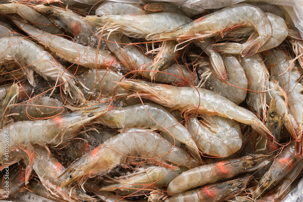 Raw shrimps. Tasty prawns. Shallow depth of field