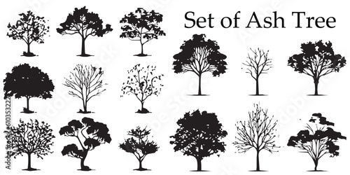 A set of silhouette tree vector illustration