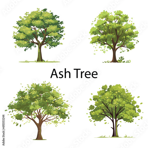 A set of flat ash tree vector illustration