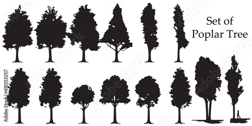 A set of poplar tree vector silhouette design