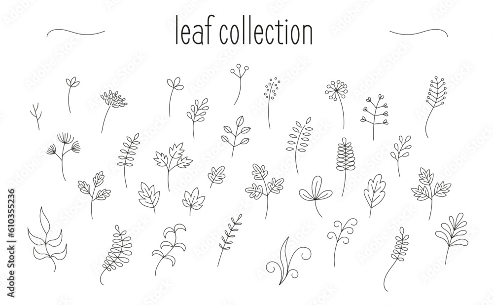 Collection of minimalist designs of leaves