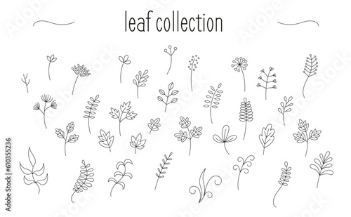 Collection of minimalist designs of leaves