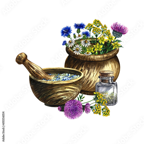 Medicinal herbs of cornflower, chamomile and tansy, St. John's wort and leuzea. In a wooden saucepan and a wooden mortar. Glass vial with medicine. Watercolor, hand-drawn illustration. photo