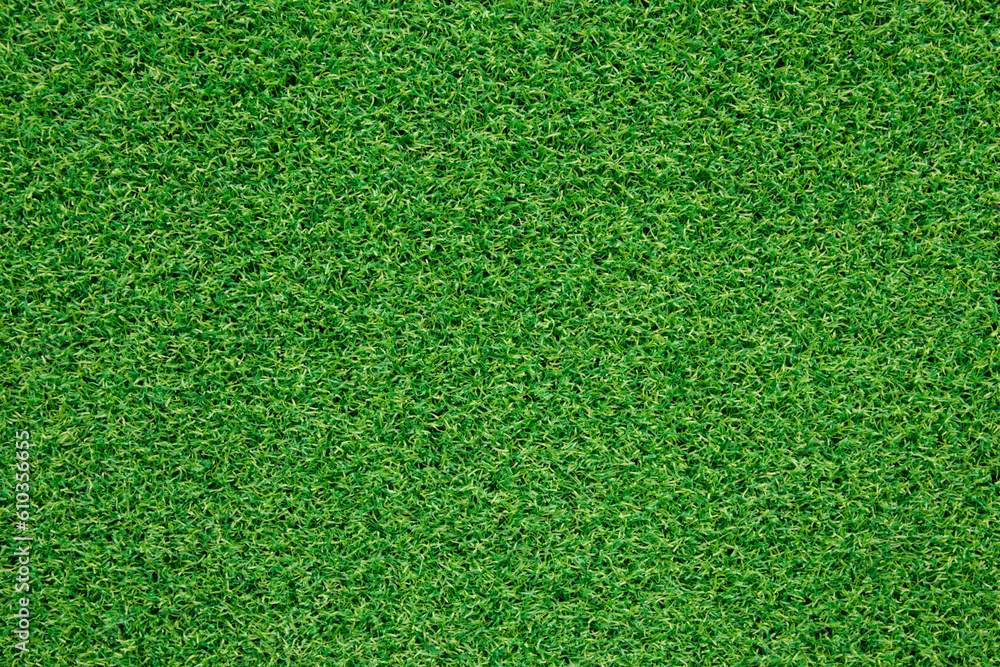 Obraz premium green grass background