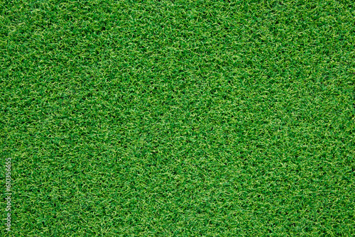 green grass background